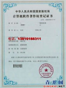 計算機軟件著作權(quán)登記代辦與企業(yè)管理咨詢 賦能企業(yè)創(chuàng)新發(fā)展的雙翼